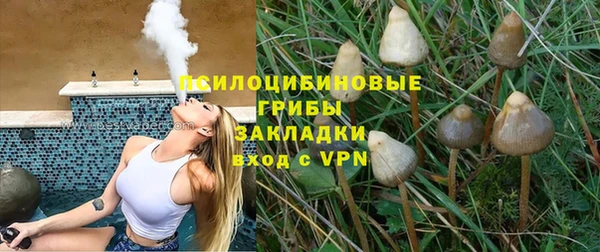 альфа пвп Богородицк