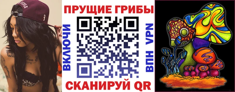 Псилоцибиновые грибы Psilocybe  Купить  Щёлкино 